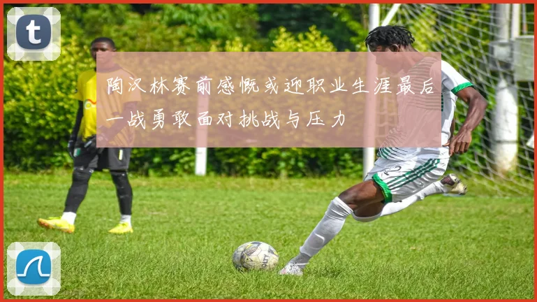陶汉林赛前感慨或迎职业生涯最后一战勇敢面对挑战与压力